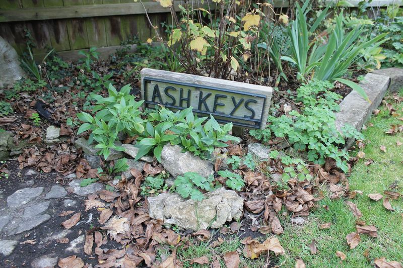 Ashkeys Sign